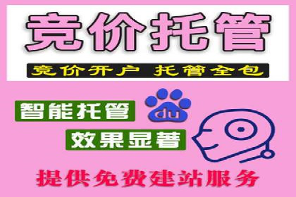 企业SEM托管代运营实战案例
